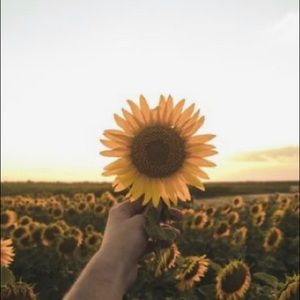 Meet your Posher, Libby